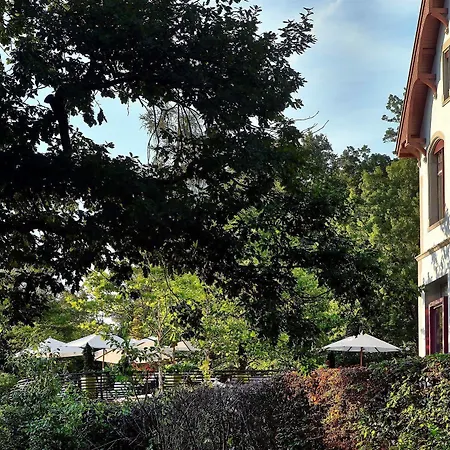 Sorell Rigiblick - Studios&spa Hotel