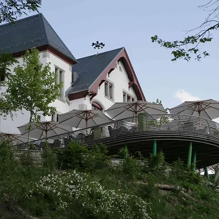 Studios & Spa Suites Rigiblick 4*