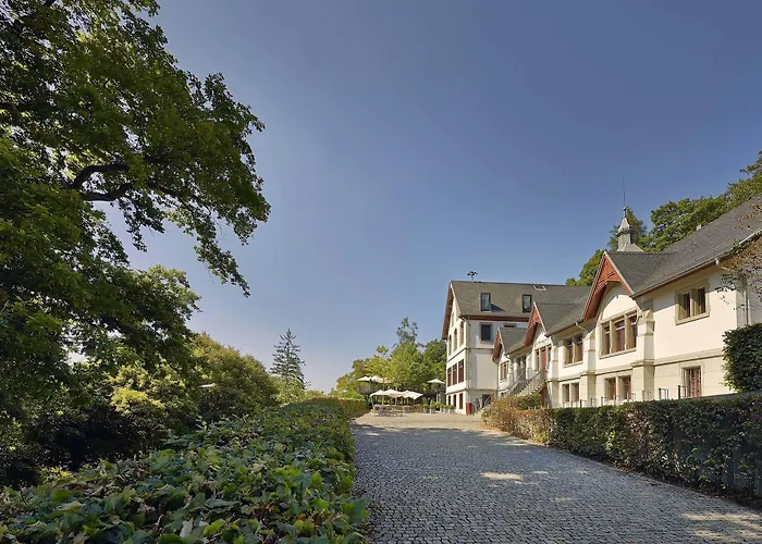 Sorell Rigiblick - &