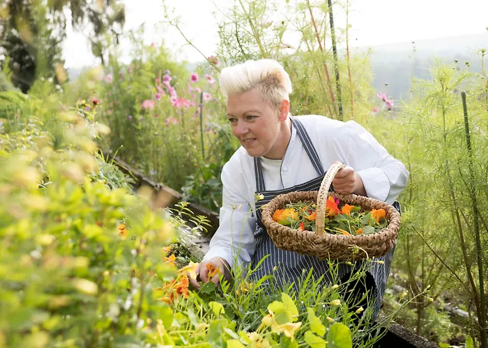 Sorell Rigiblick - &